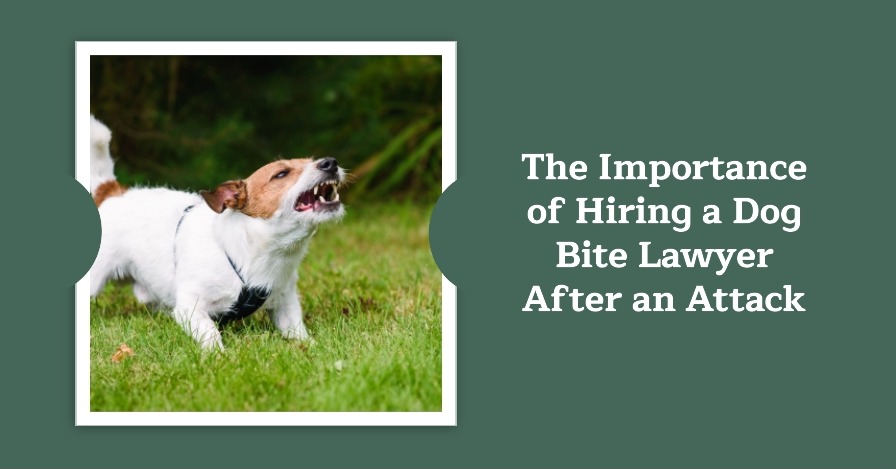 Dog Bite Lawyer