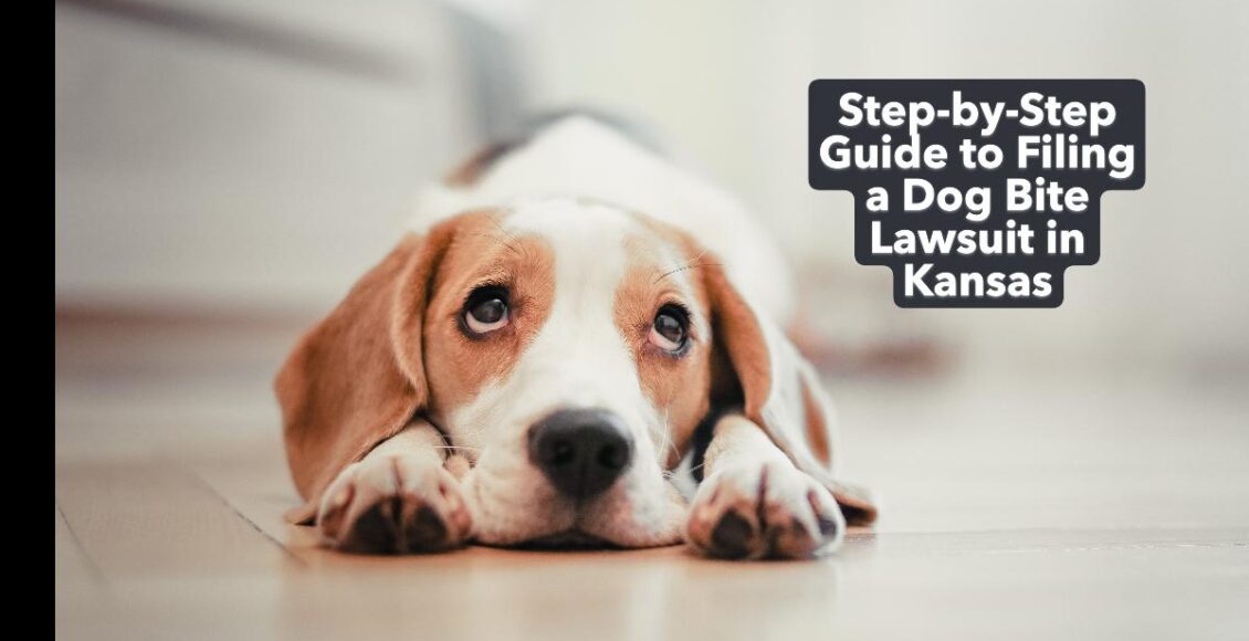 Step-by-Step Guide to Filing a Dog Bite Lawsuit in Kansas